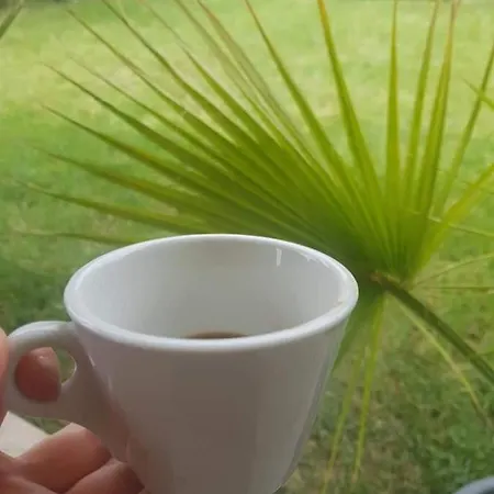 симида 1 * Debnevo