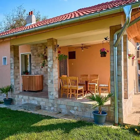 симида 1 Debnevo