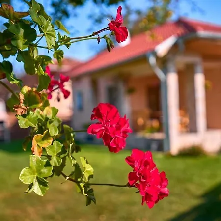 Simida Villa